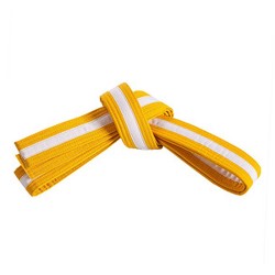 Karate Belt